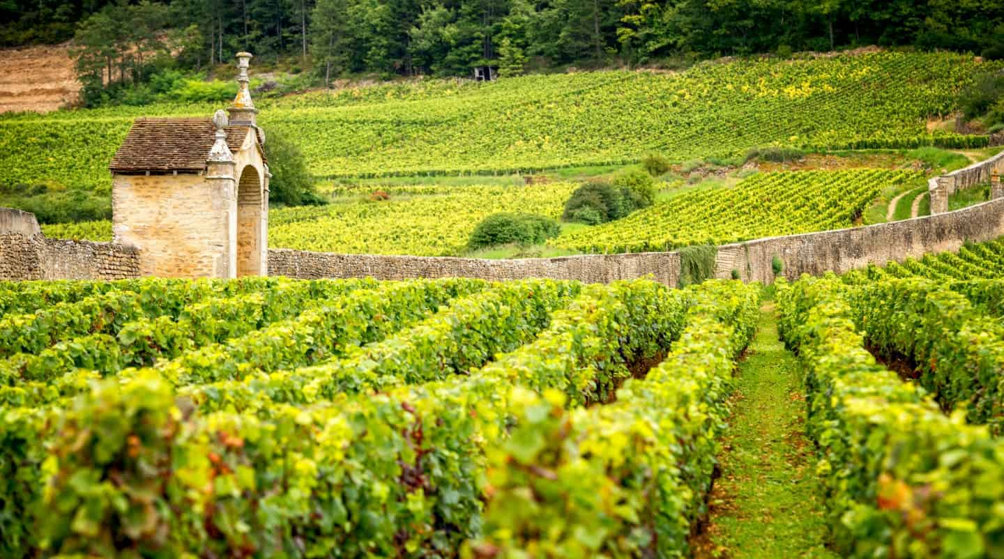 Ultimate Guide To French Wine Regions (2020)